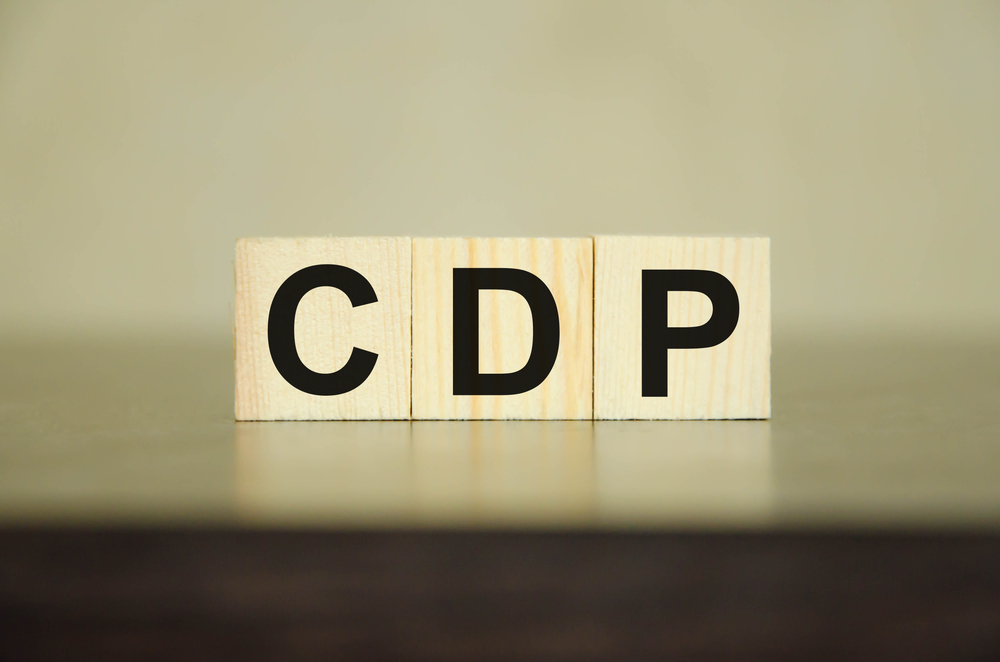 人材育成に役立つ「CDP」の導入方法と期待される効果について